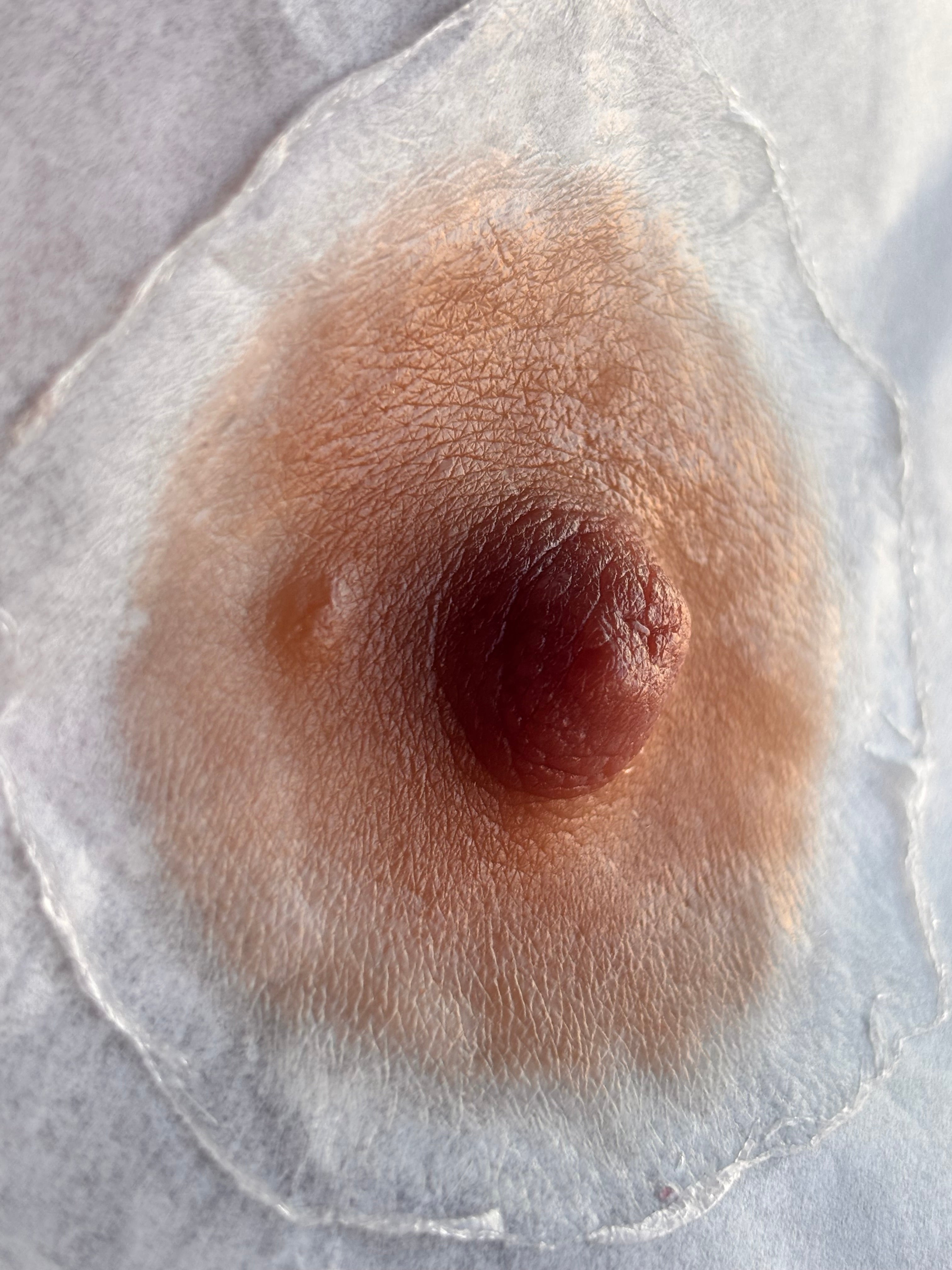 The Most Realistic Solution on the Market – Premium Silicone Areolas