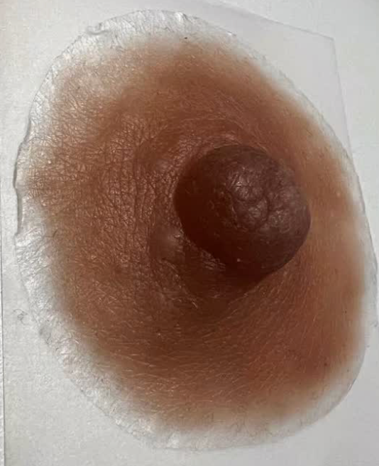 Realistic Silicone Areola Prosthetic – Light Skin Tone