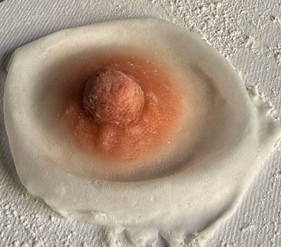 Realistic Silicone Areola Prosthetic – Light Skin Tone