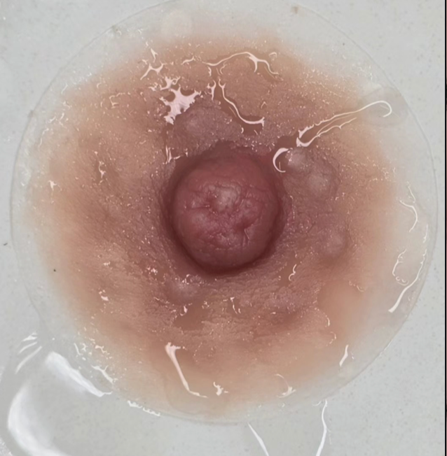 Realistic Silicone Areola Prosthetic – Light Skin Tone